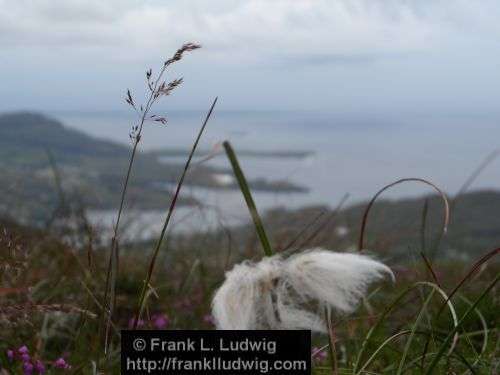 Slieve League